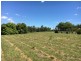 122 Lindeman Road, Beerwah QLD 4519