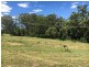 122 Lindeman Road, Beerwah QLD 4519