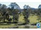 99 Simba Road, West Woombye QLD 4559
