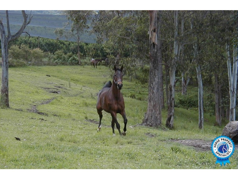 99 Simba Road, West Woombye QLD 4559