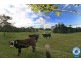 109 Ferrells Road, Cooroy QLD 4563