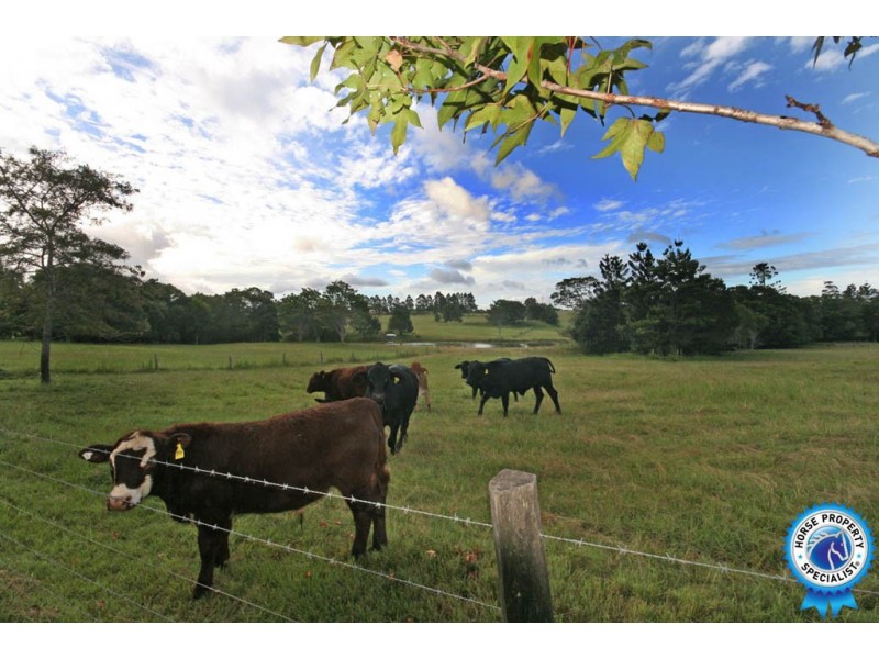 109 Ferrells Road, Cooroy QLD 4563