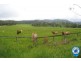 44 Telephone Road, Coolabine QLD 4574