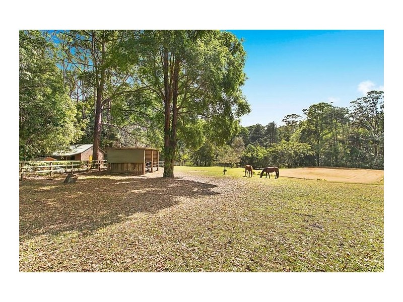 Diddillibah QLD 4559