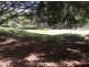 Diddillibah QLD 4559