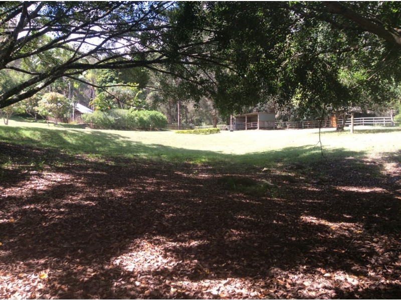 Diddillibah QLD 4559