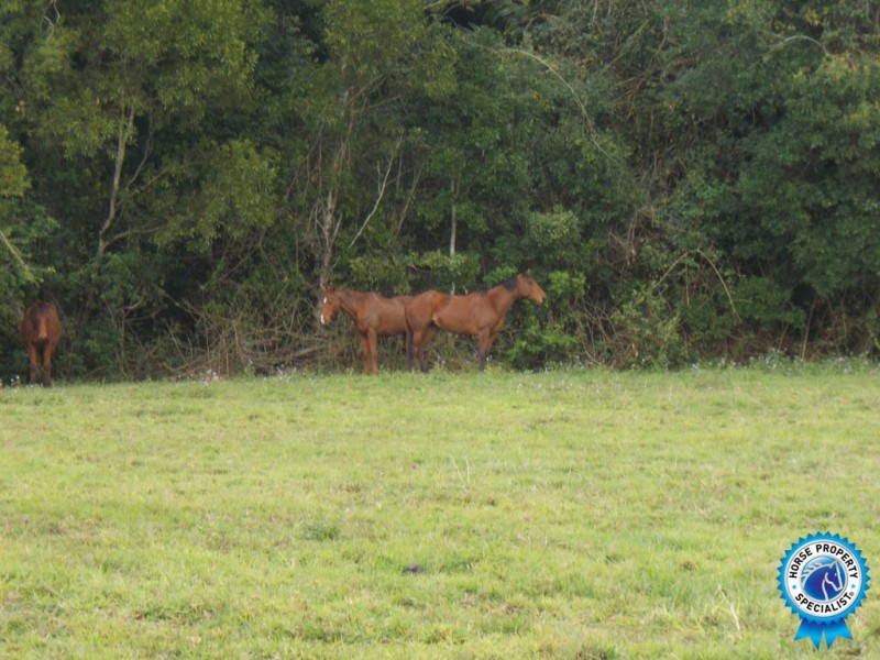 69 Stevens Road, Glenview QLD 4553