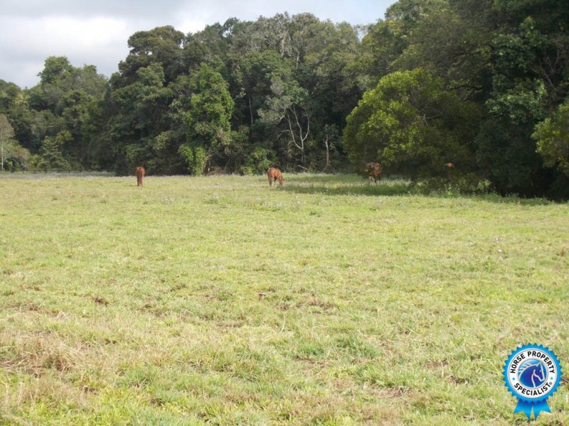 69 Stevens Road, Glenview QLD 4553