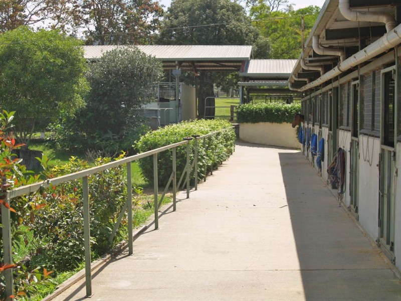 985 Kerry Road, Kerry QLD 4285