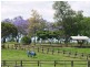 985 Kerry Road, Kerry QLD 4285