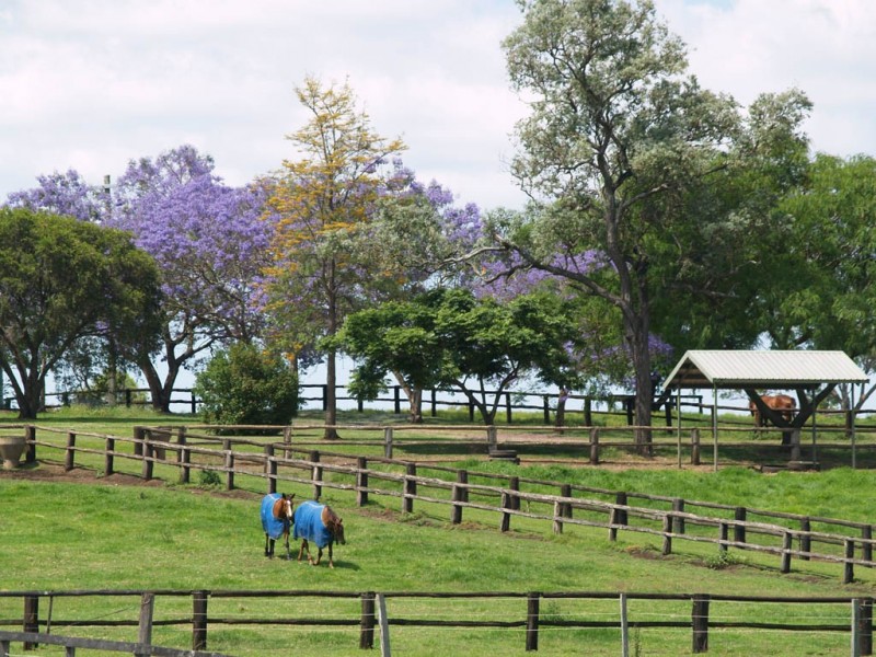 985 Kerry Road, Kerry QLD 4285