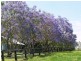985 Kerry Road, Kerry QLD 4285