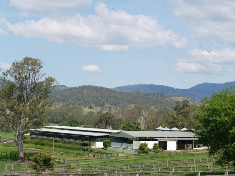 985 Kerry Road, Kerry QLD 4285