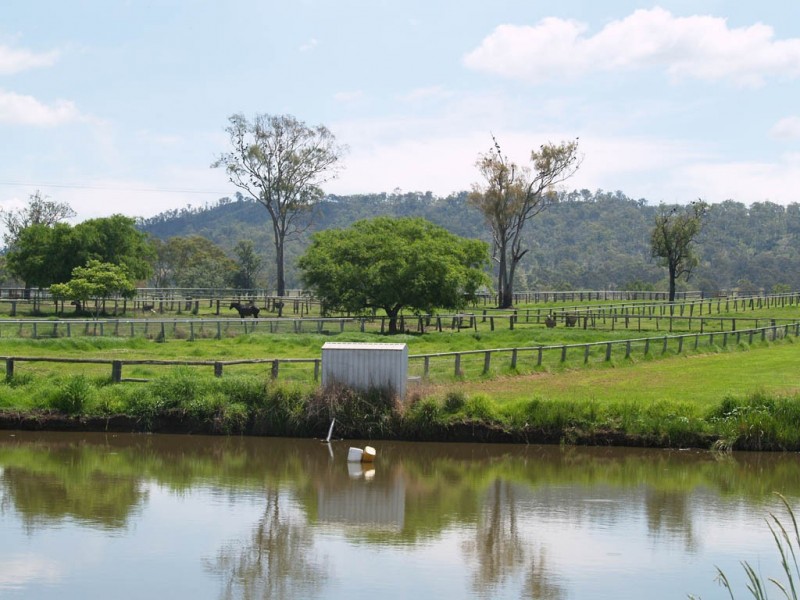 985 Kerry Road, Kerry QLD 4285