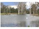 985 Kerry Road, Kerry QLD 4285