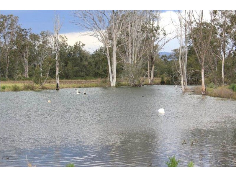 985 Kerry Road, Kerry QLD 4285