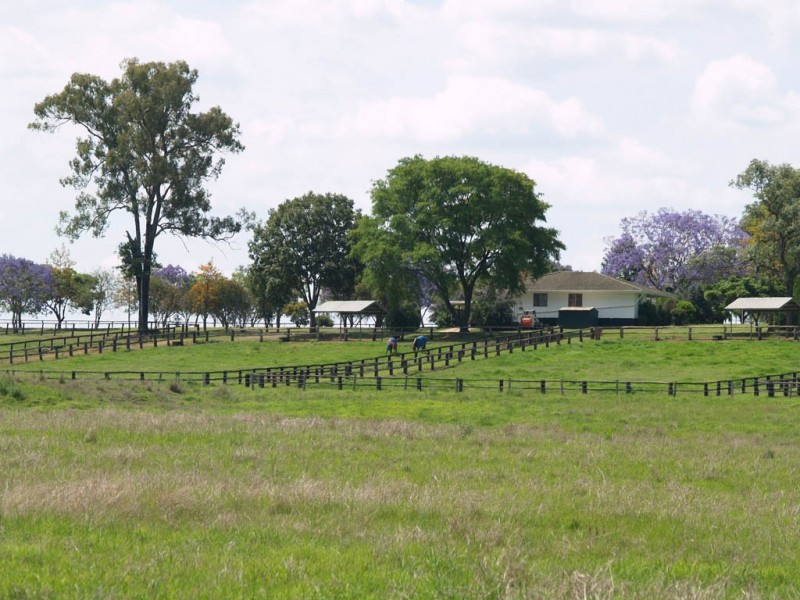 985 Kerry Road, Kerry QLD 4285