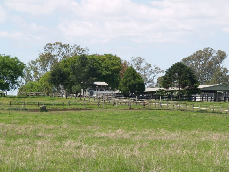985 Kerry Road, Kerry QLD 4285