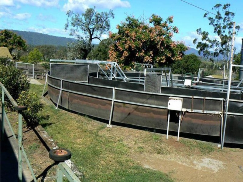 985 Kerry Road, Kerry QLD 4285