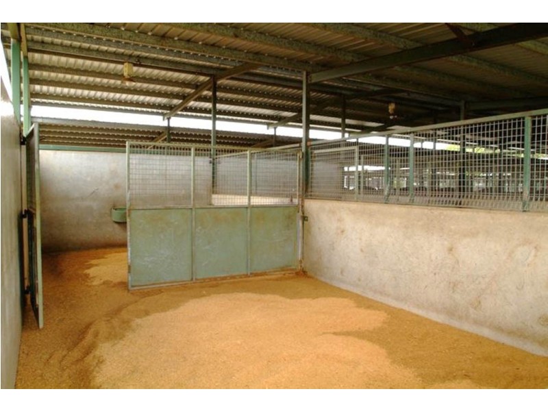 985 Kerry Road, Kerry QLD 4285