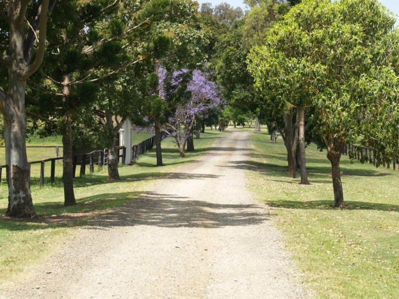 985 Kerry Road, Kerry QLD 4285