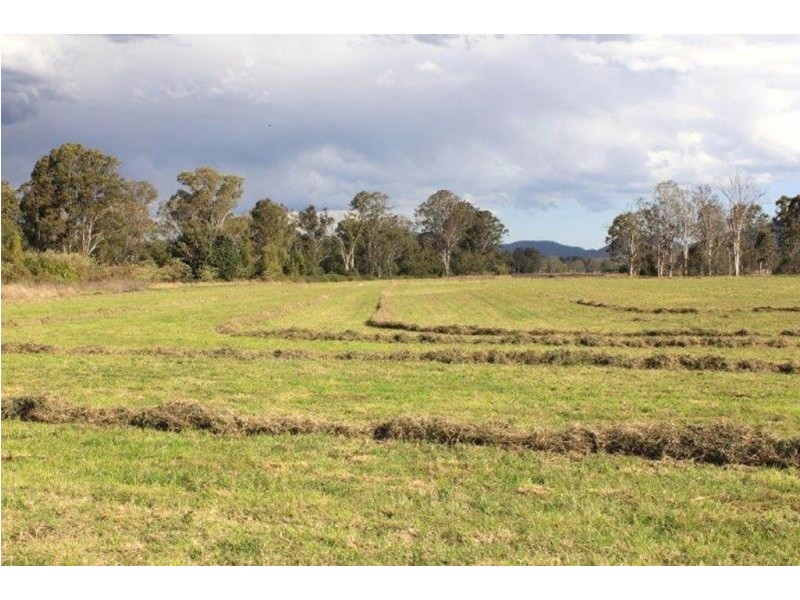 985 Kerry Road, Kerry QLD 4285