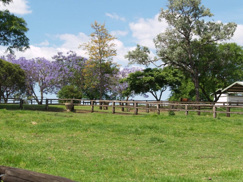 985 Kerry Road, Kerry QLD 4285