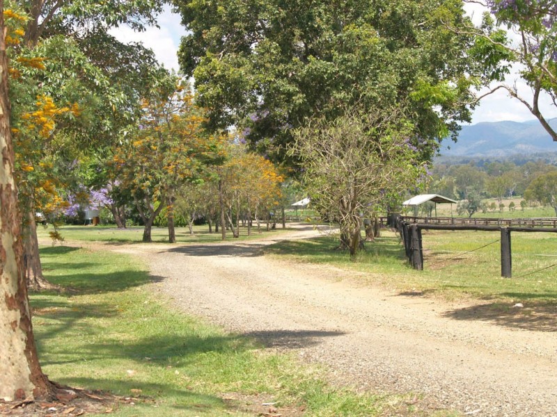 985 Kerry Road, Kerry QLD 4285