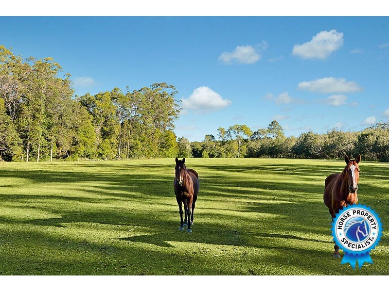 Peachester QLD 4519