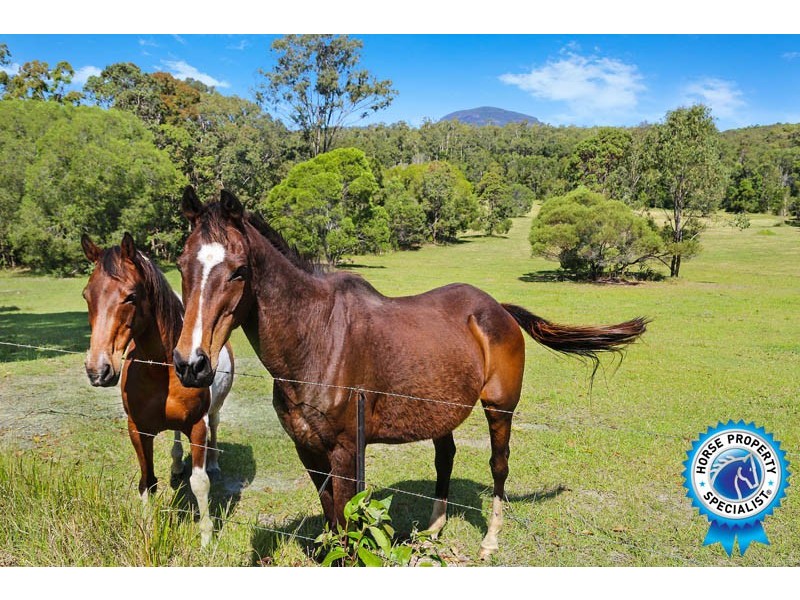 536-714 Yandina Coolum Rd, Yandina Creek QLD 4561