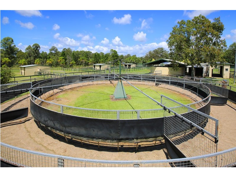 25 Isambert Road, Landsborough QLD 4550