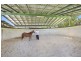 25 Isambert Road, Landsborough QLD 4550