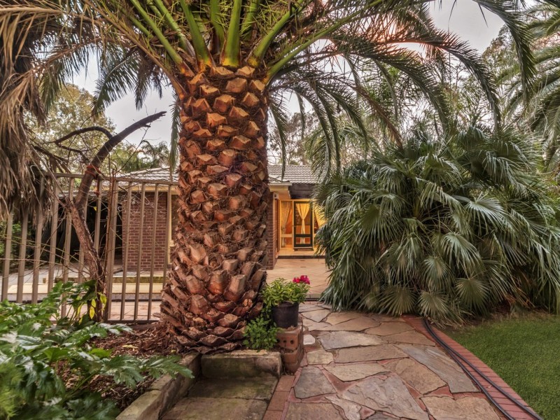 8 Burton Street, Modbury SA 5092