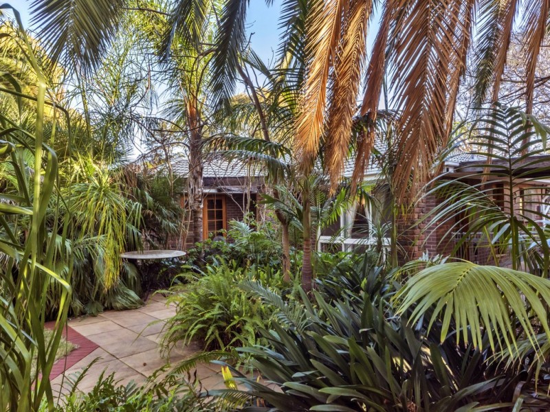 8 Burton Street, Modbury SA 5092