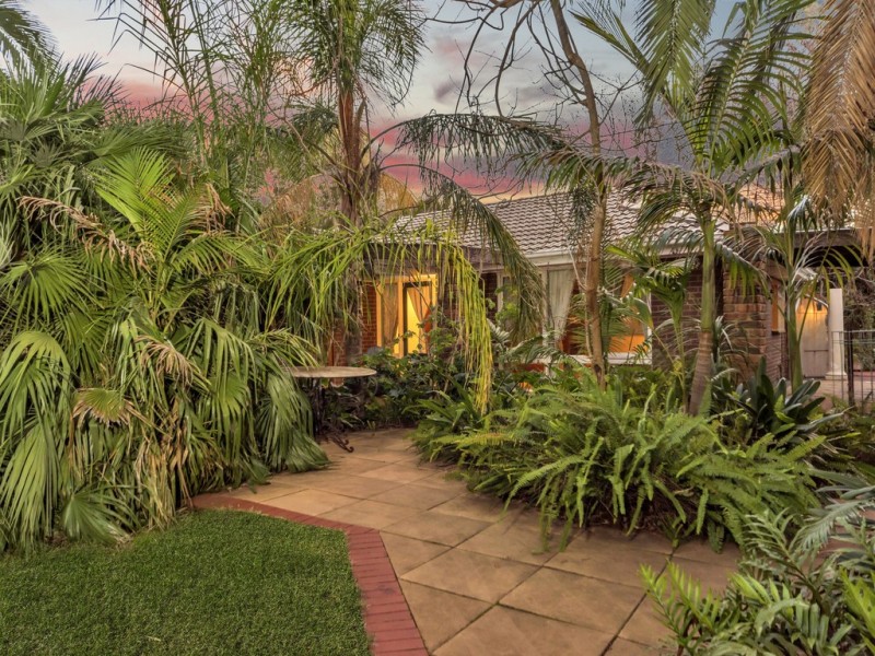 8 Burton Street, Modbury SA 5092