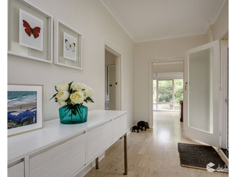 10 Grey Avenue, Beaumont SA 5066