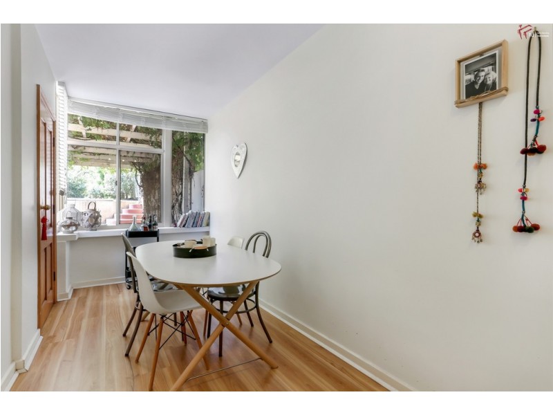 23 Derwent Avenue, Magill SA 5072