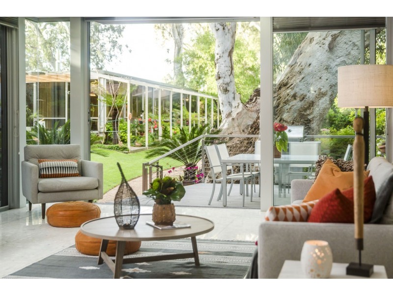 224b Cross Road, Unley Park SA 5061