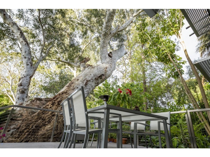 224b Cross Road, Unley Park SA 5061