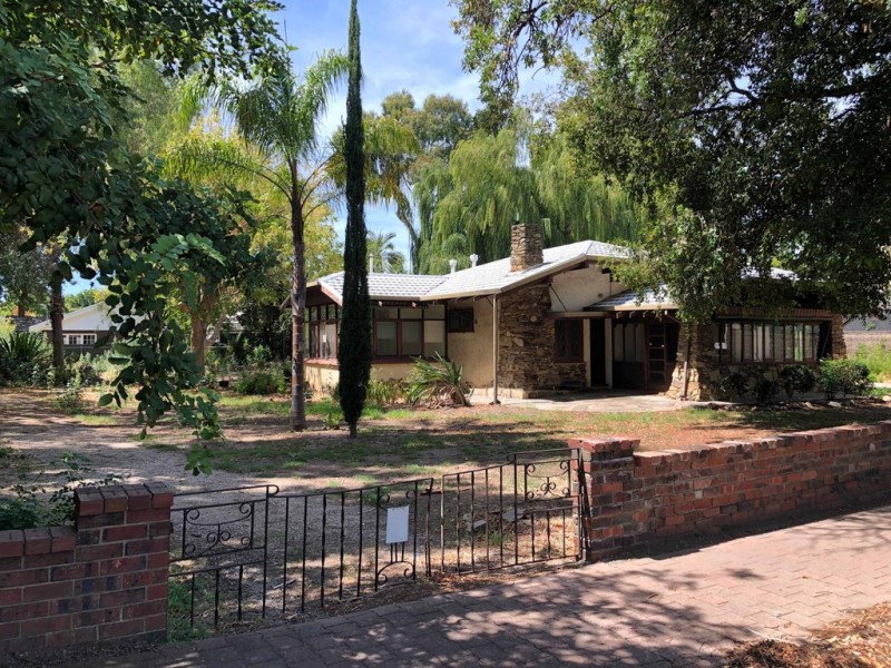 7 Regent Street, Millswood SA 5034