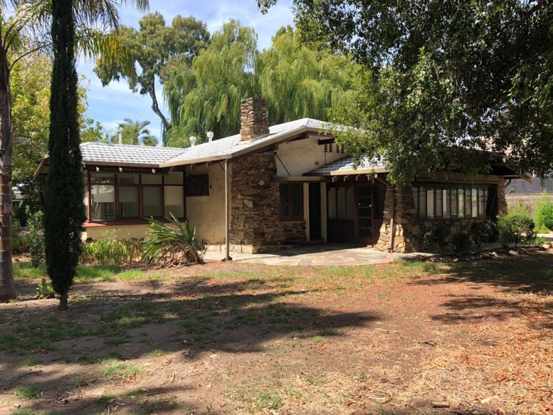 7 Regent Street, Millswood SA 5034
