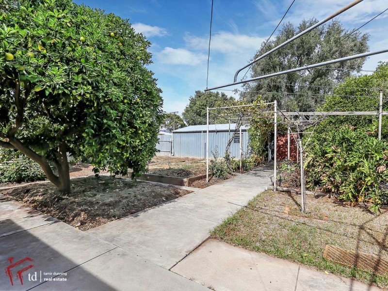 12 Ross Road, Hectorville SA 5073