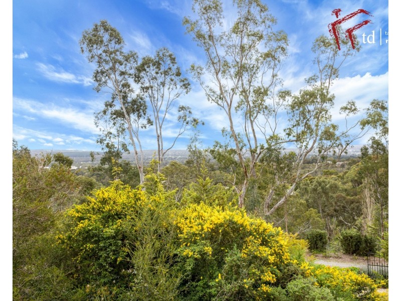 13 Kevin Court, Happy Valley SA 5159