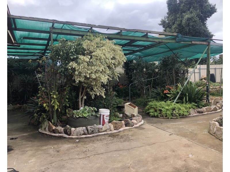 22 Duke Street, Beulah Park SA 5067