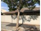 2/1 East Street, Magill SA 5072