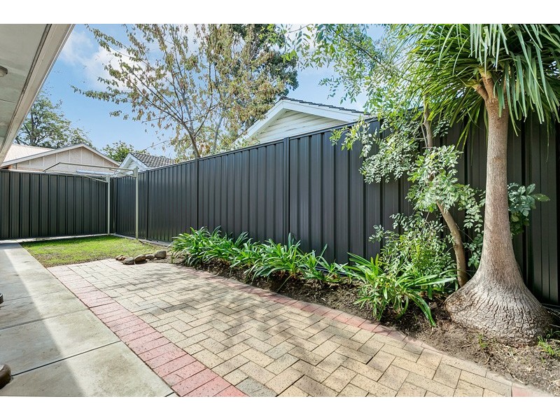 2/88 Tusmore Ave, Tusmore SA 5065