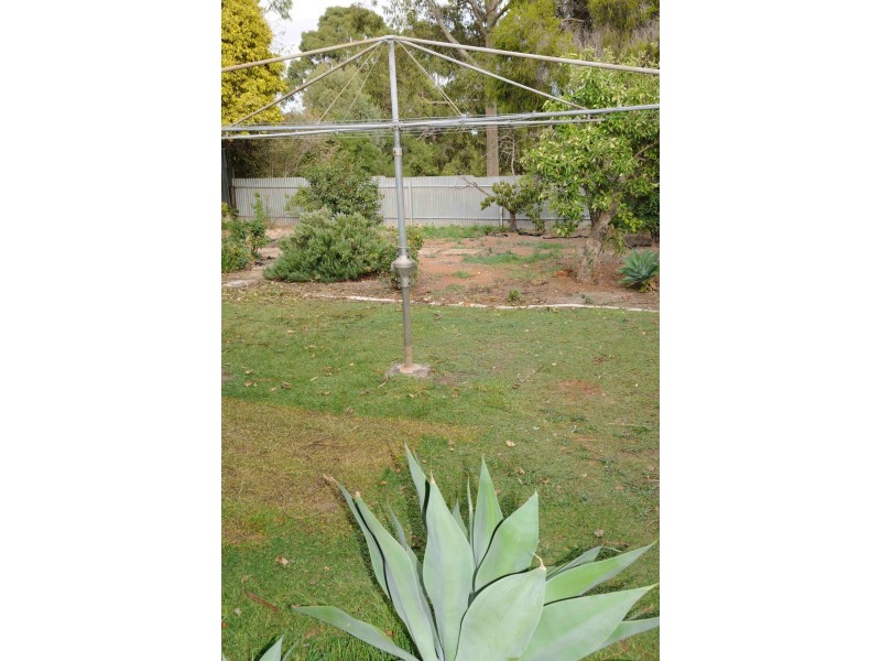 41 Verdale Ave, Linden Park SA 5065