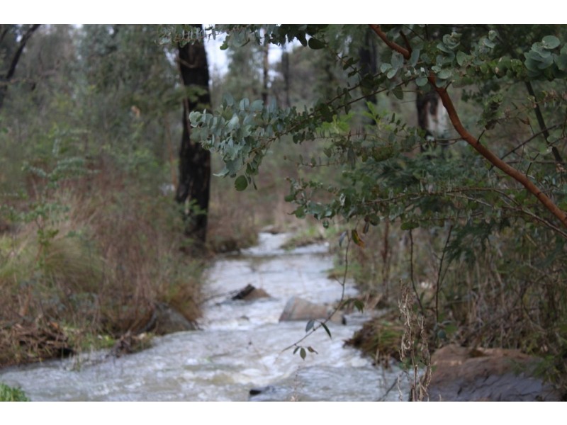 3900 Tumbarumba Road, Tumbarumba NSW 2653