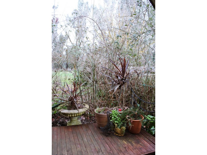 3900 Tumbarumba Road, Tumbarumba NSW 2653