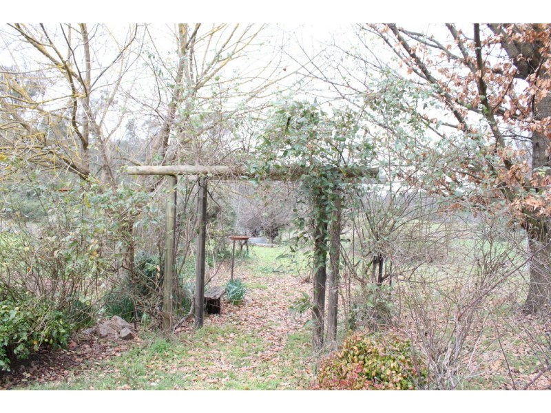 3900 Tumbarumba Road, Tumbarumba NSW 2653